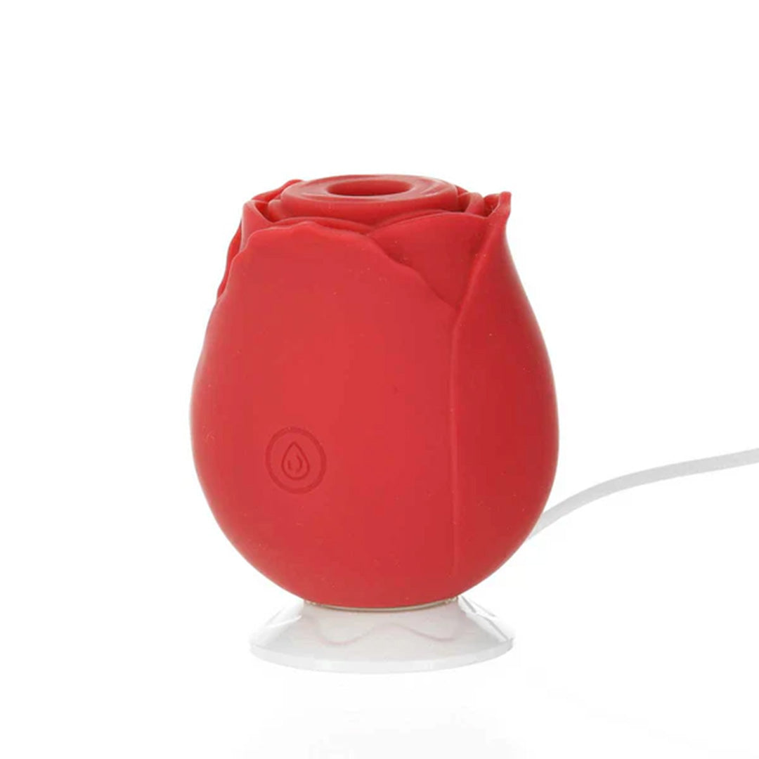 ROSE MLADY SUCTION