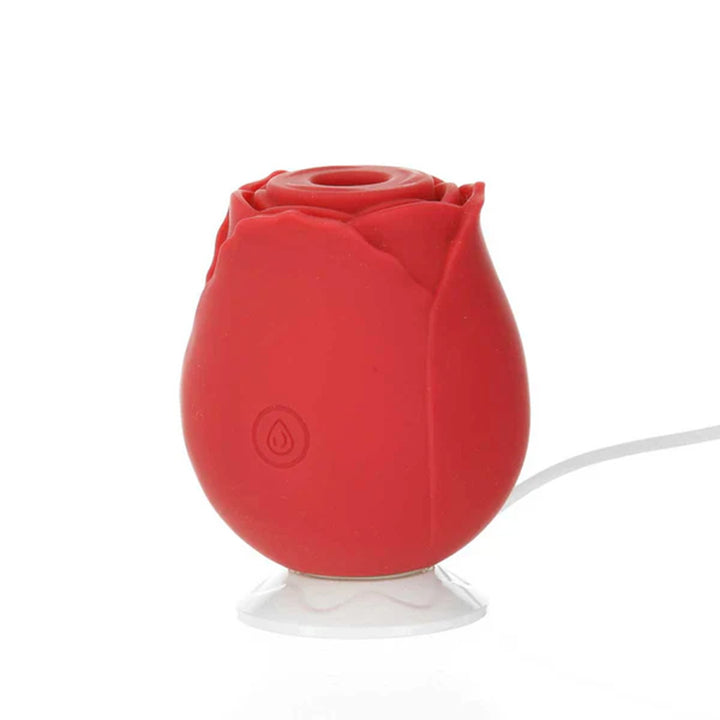 ROSE MLADY SUCTION