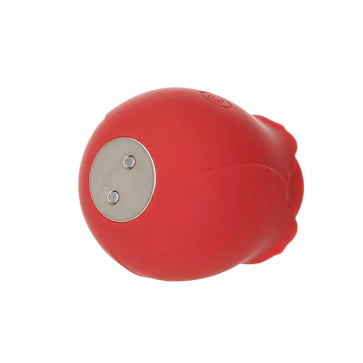 ROSE MLADY SUCTION