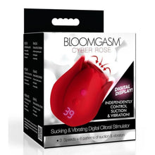 BLOOMGASM CYBER ROSE