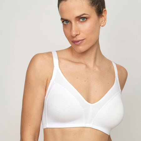 BRASIER SIN RELLENO SIN AROS