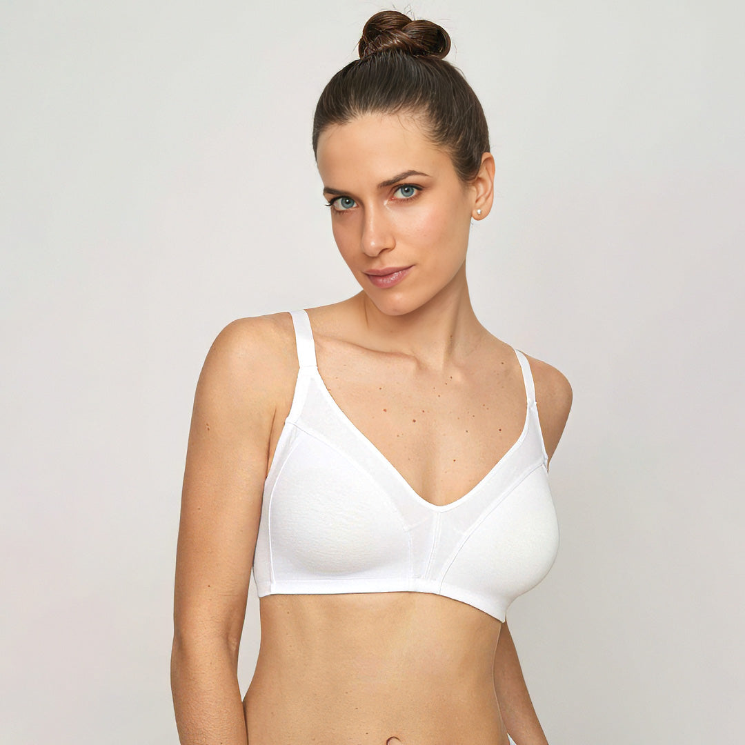 BRASIER SIN RELLENO SIN AROS