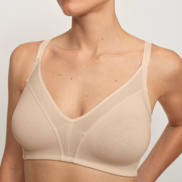 BRASIER SIN RELLENO SIN AROS