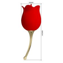 PRETTY LOVE ROSE LOVER
