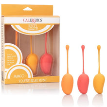 KEGEL TRAINING SET